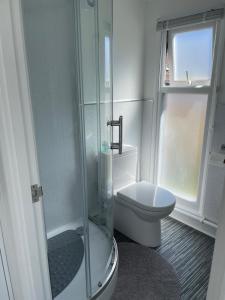 卡林顿The Garden Room - A cosy country stay in Cornwall的一间带卫生间和玻璃淋浴间的浴室