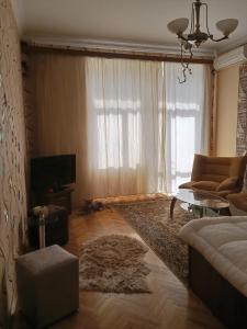 巴库Квартира в престижном районе Баку的带沙发和电视的客厅