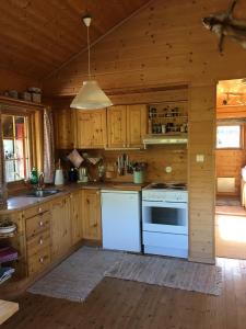 VågsliHaukeli Mountain Cabin的小木屋内的厨房配有白色家电