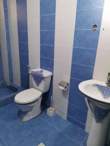 杰拉什Flower 2的蓝色瓷砖浴室设有卫生间和水槽