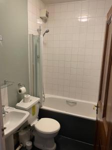 彻特西奥尔德天鹅酒店的浴室配有卫生间、淋浴和盥洗盆。