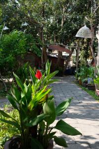 美奈Gạo Homestay的一座花园,花园内种有红花,还有一条小径