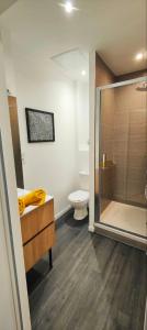 克莱蒙费朗Appartements à thème的带淋浴、卫生间和盥洗盆的浴室