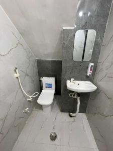 马图拉Rukmani Rooms的一间带水槽、卫生间和镜子的浴室