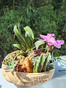 埔里山水桃米居的桌上放满植物和花的碗