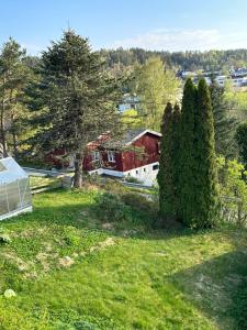 桑讷菲尤尔Near Sandefjord AirPort and walking distance to City center的享有庭院的顶部景色,设有房屋和树木