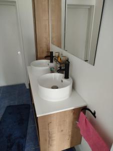 克吕斯Chambre avec vue sur jardin et salle de bain à partager的浴室设有白色水槽和镜子
