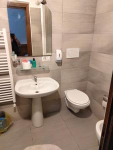 塞维索伦巴第大区酒店的一间带水槽、卫生间和镜子的浴室