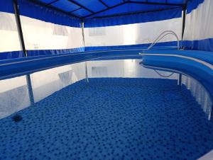 特尔马斯德里奥翁多Arizona B&P的水中蓝色瓷砖的游泳池