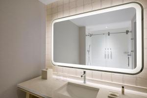 托莱多Delta Hotels by Marriott Toledo的一间带水槽和大镜子的浴室