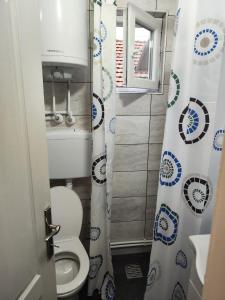 弗拉涅Snezana home的一间带卫生间和淋浴帘的浴室