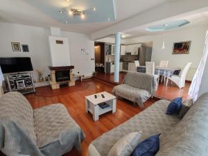 巴斯卡Apartments Kricin 14的客厅配有沙发和桌子