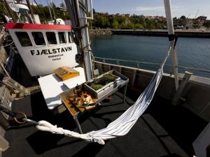 海斯勒Unique Boat Accomodation - Bornholm - Fjælstavn的水面上船边的吊床