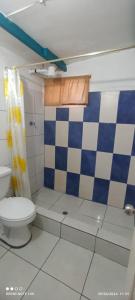 巴克里索莫雷诺港Hostal Cabañas Don Jorge的一间带卫生间和 ⁇ 合式淋浴帘的浴室