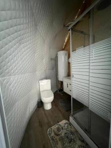 Ch'ik'unet'iGlamping Machakhela的一间带卫生间和水槽的小浴室