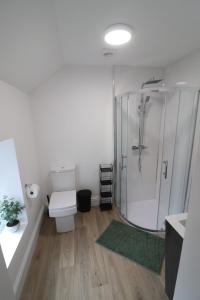 伊斯特布恩Emerald nest Eastbourne的浴室配有白色卫生间和淋浴。