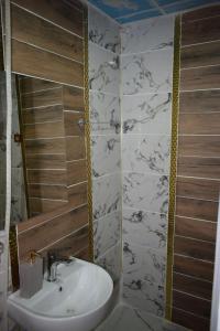 尚勒乌尔法Hasan Paşa Konuk Evi的一间带水槽和镜子的浴室