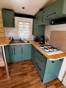 ArdresA deux pas du lac的厨房配有绿色橱柜和炉灶。 顶部烤箱