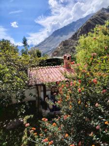 奥兰太坦波Casablanca Ollantaytambo的山前花房