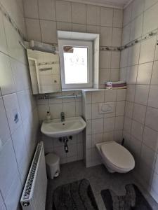 格伦德尔湖施莱公寓的一间带卫生间和水槽的小浴室