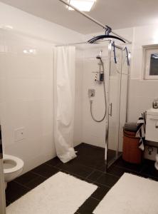 蒙德塞FeApp Parken & Pennen的带淋浴和卫生间的浴室