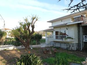 巴罗塞拉斯CRALS - Casa do Corgo的院子里有树的白色房子