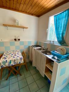 蓬扎Il Fico Casa Vacanze Indipendente的厨房配有水槽和桌子