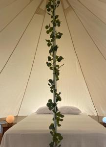 安赫莱斯镇Glamping Anturios的帐篷内床前的植物