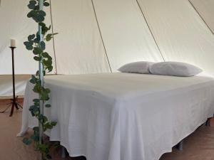 安赫莱斯镇Glamping Anturios的一张白色的床铺和旁边一个植物