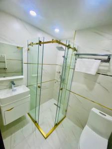 杜尚别BALAND HOTEL DUSHANBE的带淋浴、卫生间和盥洗盆的浴室