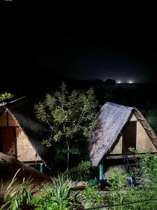 爱妮岛Forest Camp El Nido的夜晚有茅草屋顶的房子