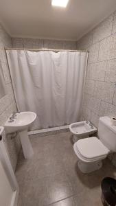 佩里托莫雷诺El viejo bar hotel的浴室配有卫生间、盥洗盆和淋浴。