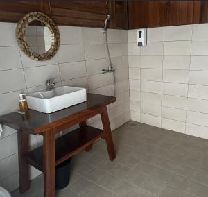 TapokrengVogelkopf Resort的一间带水槽和镜子的浴室