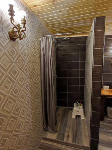 佐尔尼耶戈迪House Pr'Belej的带淋浴和浴帘的浴室
