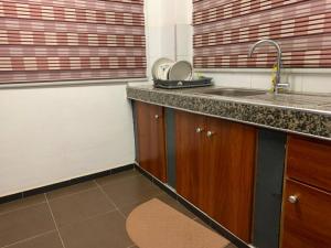 库马西Modern Cozy 1Bedroom Space near KNUST & Kumasi Airport的厨房配有水槽和台面