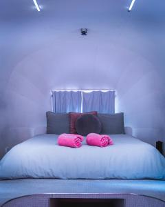 墨尔本Hotel No的床上有两张粉红色枕头