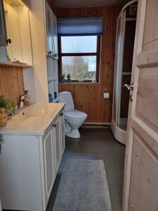 伦斯楚普Cozy Summer House In Lnstrup For 5 People,的一间带卫生间、水槽和窗户的浴室