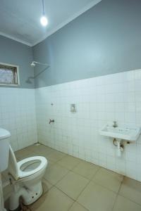 莫希Janibichi Adventures hostel的一间带卫生间和水槽的浴室