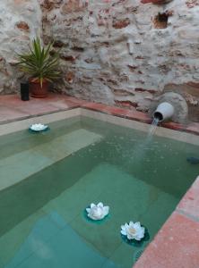 埃尔佩德罗索Casa Rural El Palomar的游泳池里两朵花的喷泉
