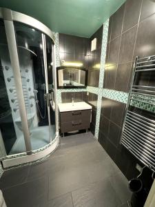 圣但尼Le jardin du stade by UTA HOUSE的带淋浴、盥洗盆和镜子的浴室