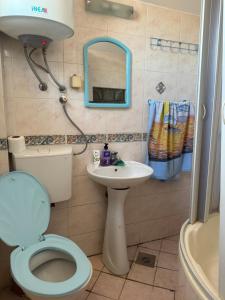 波德戈里察Hostel Lejla的一间带卫生间、水槽和镜子的浴室