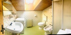 卡纳泽伊Park Hotel Faloria的一间带水槽和卫生间的浴室