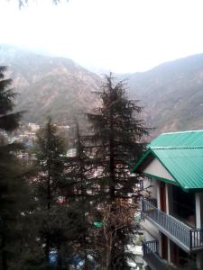 达兰萨拉Himalayan Beautiful Mountain View Hostel的山前的一群树木