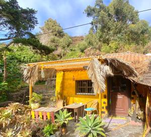 LoderoStudio Mazo La Habitación的黄色的茅草屋顶度假屋