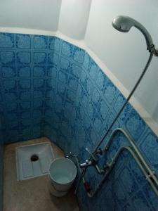 Inezganehotel appart inezgane agadir的蓝色瓷砖浴室设有卫生间和淋浴。