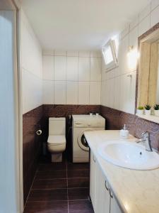 艾拉方索斯Okio - Μονοκατοικία δίπλα στη θάλασσα的一间带卫生间和水槽的小浴室