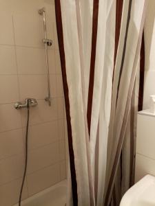 WangelsFerienhof - Rauhenberg的带淋浴帘和卫生间的浴室