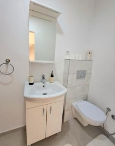 亚伊采Sobe Zizi的白色的浴室设有卫生间和水槽。