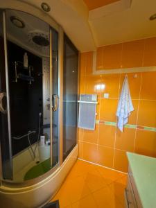 波德戈里察Hostel Lejla的带淋浴和盥洗盆的浴室