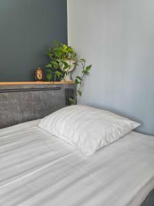 图尔库Hotel Linnasmäki的白色枕头坐在床上,植有植物